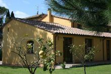 Foto 1 di Bed and Breakfast - Pisa Holidays