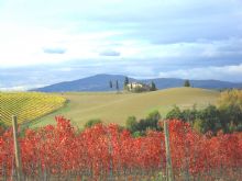 Foto 1 di Bed and Breakfast - Chianti B&b Firenze