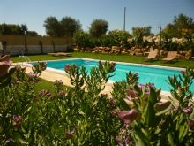 Foto 1 di Bed and Breakfast - Masseria Santangelo