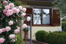 Foto 1 di Bed and Breakfast - Il Giglio