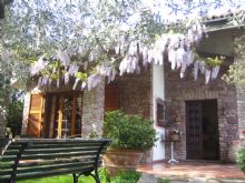 Foto 1 di Bed and Breakfast - Alle Mimose