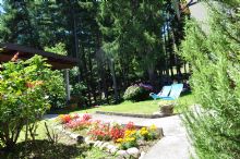 Foto 1 di Bed and Breakfast - La Pineta