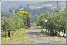 Foto 1 di Casa Vacanza - La Masseria