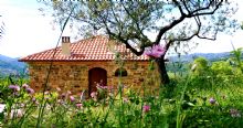 Foto 1 di Bed and Breakfast - Villa Nigro