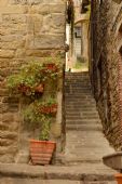 Foto 1 di Bed and Breakfast - Vicolo Della Scala