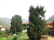 Foto 1 di Bed and Breakfast - La Libellula Rossa