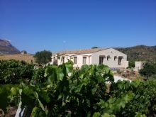 Foto 1 di Bed and Breakfast - La Suite Di Segesta