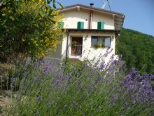 Foto 1 di Bed and Breakfast - Solo Per Quattro